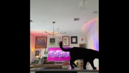 Mia Khalifa - Hot Horny Nude Babe